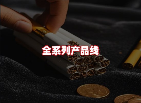 专业团队